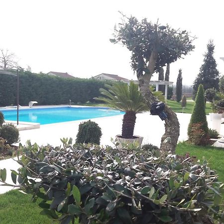 Agriturismo Sant' Isidoro Villa Anagni Exterior photo